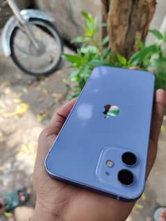 Iphone 12 PTA