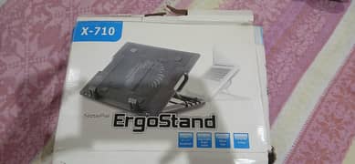 Ergostand