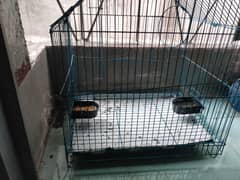Birds Cage