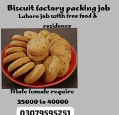 busicuit packing job lahore job female male