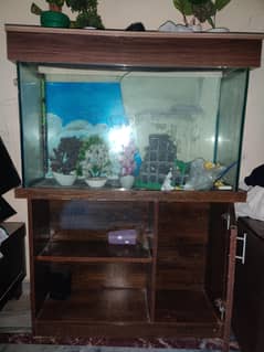 3.5 ft x 1ft Fiah Aquarium