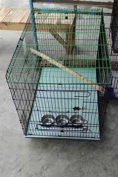Bilal Cage Arifwala