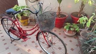 Red Cycle for girls