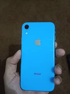 iPhone XR
