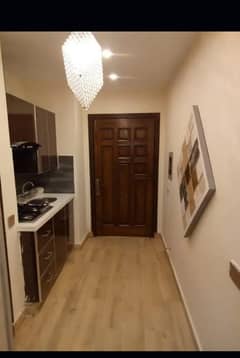 Daily basis one bed studio furnished flat for rent