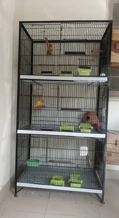 Birds Cage
