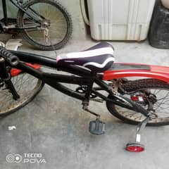 other bicycle