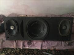 Pioneer