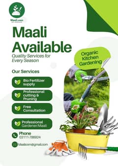 Maali. com services