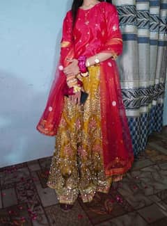 organza Embroidered Lehnga with Duppata