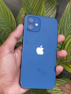 iPhone 12 brand-new urgent sell