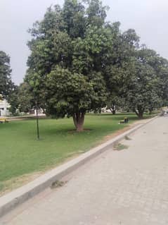 Buch Executive Villas 6.33 Marla Plot Corner + Park Facing Ideal Location For Sale