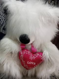 fluffy teddy 