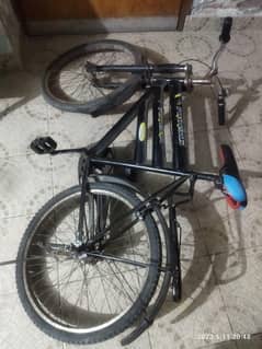 Phoenix cycle