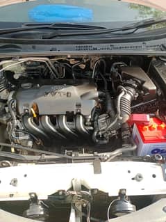 Gli 2017 manual 1.3