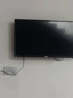 LED