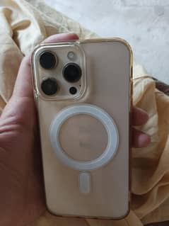XR converted to 13 pro max