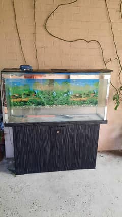 Fish Aquarium for Sale in Excellent Condition