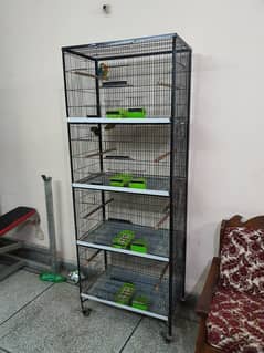 4 Lovebird Pair and 4 Portion Cage for Sale