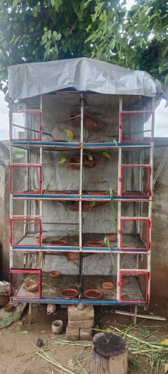 cage for sale parrot K sath dedo Ga lohy ka mazbut Bana ha