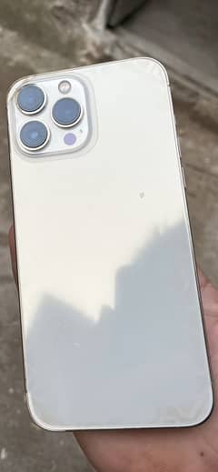 IPHONE 13 PRO MAX  (jv)