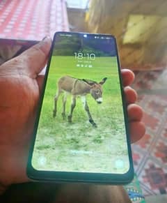 Samsung a51 all OK just fingerprint not working