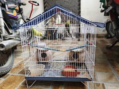 2 pairs budgie with cage