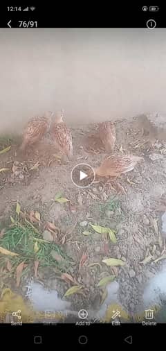 dahkne