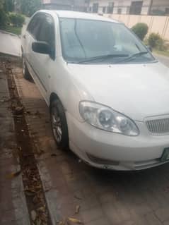 xli Corolla