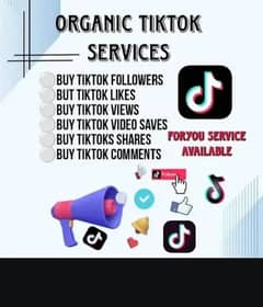 TikTok ki all service available ha