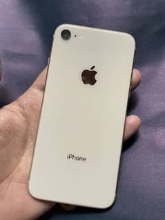 iPhone 8 (64gb)
