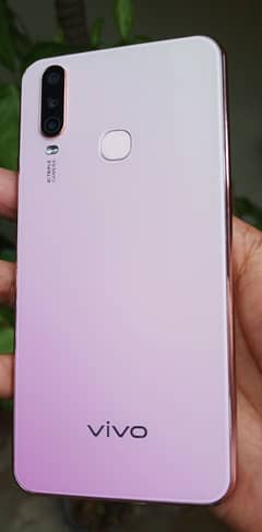 Vivo
