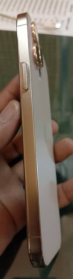 12 pro max