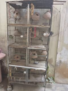 8 box cage