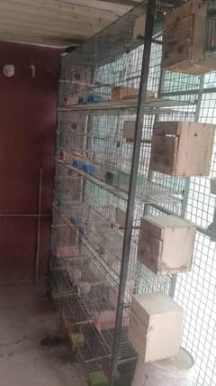 cage for sale jhangir