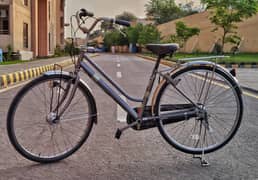 Japanese cycle