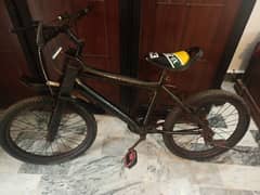cycle for 10 years old