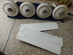Ceiling fans for Sale