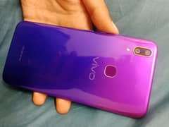 vivo