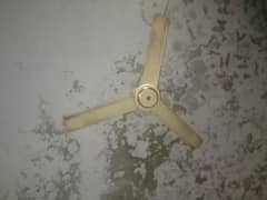 ceiling