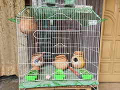 cage parrots big size
