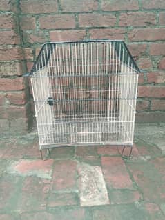 parrots or chiks  birds cage medium size