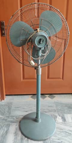 FAN for sale