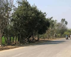 96 Kanal Agricultural Land In Barki Road Is Available