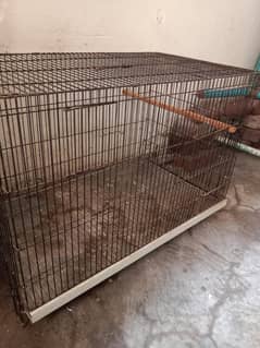 parrots cage .  size 1.5 by 2.5   . full new condition.