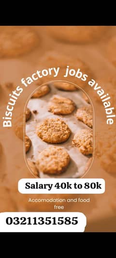 need urgent biscuits packing Factory jobs available in Lahore