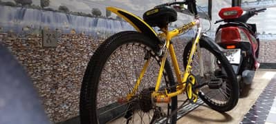 Phoenix cycle