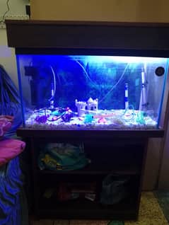 fish aquarium sale nd exchange