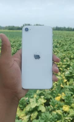 iphone se 2020