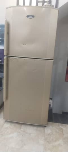 Haier fridge
